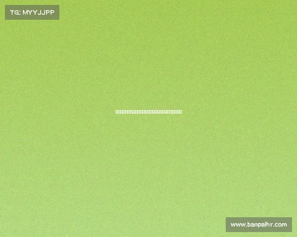 海南赛事有限公司创新赛事管理助力海南体育文化高质量发展